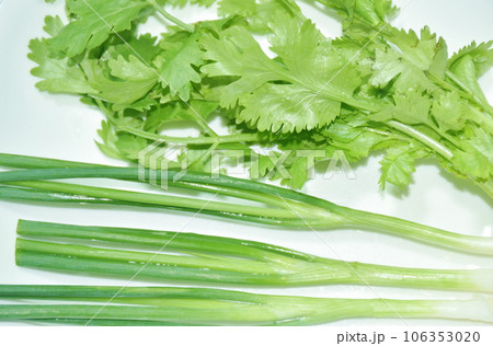 fresh parsley and spring onion with drop of water on plate 106353020