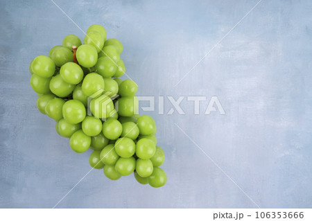 The Japanese Shine Muscat Grape on wooden blue background with copy space for your text. The Japanese Shine Muscat Grape on wooden blue background with copy space for your text. 106353666