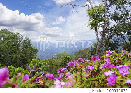 The Natural mountain background with blue sky.  Flowers out of focus in the foreground. Chiang Rai province. Thailand. 106353872