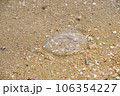 砂浜に打ち上がったミズクラゲ 106354227