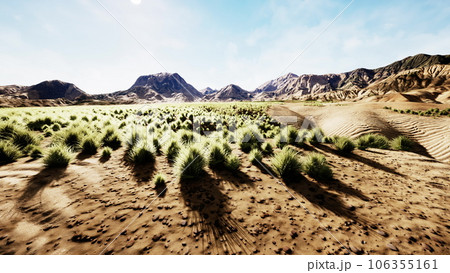 desert landscape in Crater National park desert landscape in Crater National park 106355161
