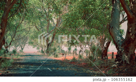 open road in Australia with bush trees 106355162