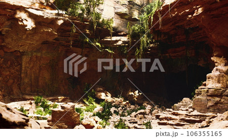large fairy rocky cave with green plants large fairy rocky cave with green plants 106355165