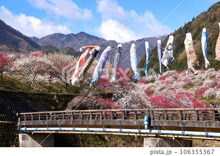 阿智村・花桃の里（月川温泉郷）【長野県下伊那郡】 106355367