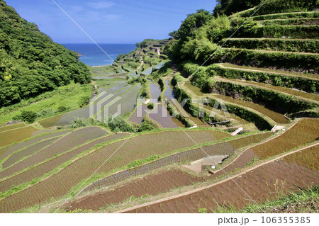 浜野浦の棚田（佐賀県・東松浦郡玄海町） 106355385