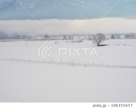 朝霧立ち込める千曲川の雪原 106355657