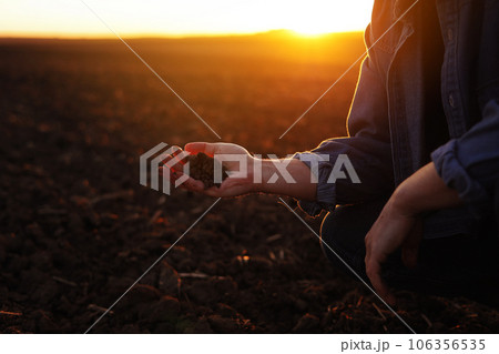 Male farmer's hand holds a handful of dry ground and checks soil fertility and quality before sowing crops on plowed field at sunset. Cultivated land. Concept of organic agriculture and agribusiness Male farmer's hand holds a handful of dry ground and checks soil fertility and quality before sowing crops on plowed field at sunset. Cultivated land. Concept of organic agriculture and agribusiness 106356535