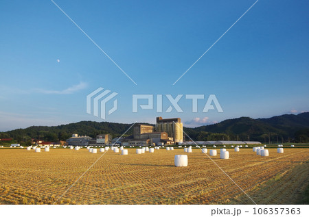 白いカバーに包まれた沢山の藁ロールが並んでいる大型圃場の風景 106357363