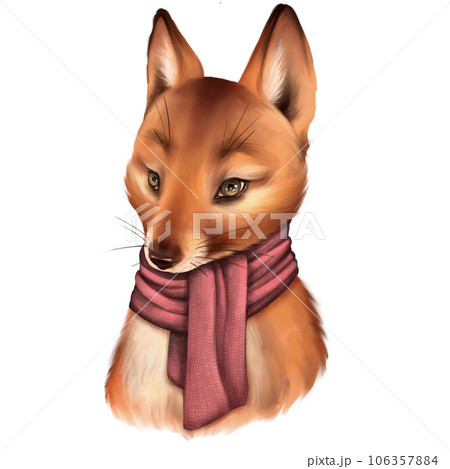 Cute fox in scarf, isolated on white background 106357884