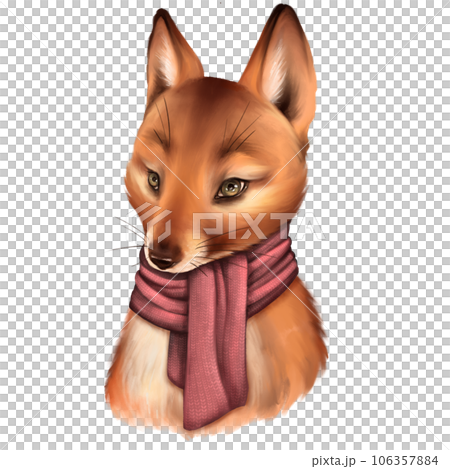 Cute fox in scarf, isolated on white background 106357884