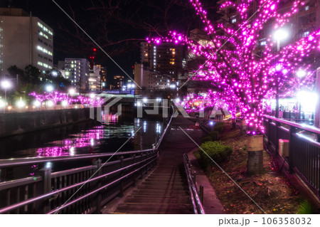 東京都・目黒川　冬の桜イルミネーション 106358032