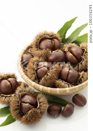 深ざるに入れたいが栗_背景白 106358295