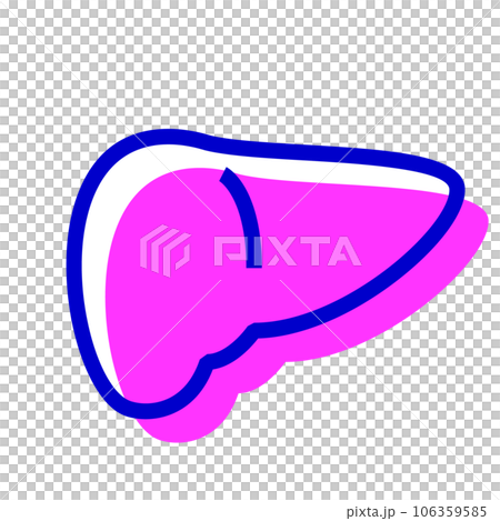 代表人體、肝臟的兩種顏色風格圖標 106359585