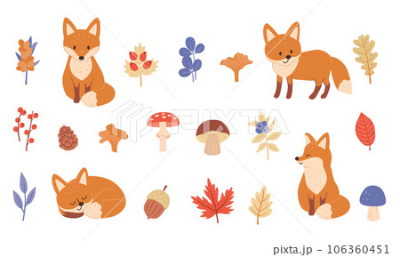 Set with cute foxes and forest plants with twigs leaves. Childish vector illustration with autumn elements clipart for design. 106360451