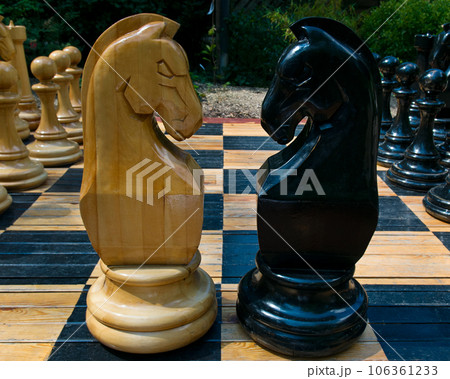 Confrontation of white and black chess horses. 106361233