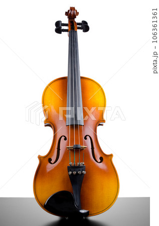 Violin 106361361