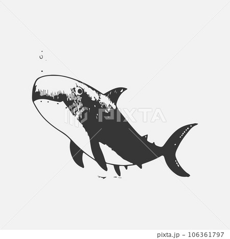 Modern vector shark logo template. 106361797