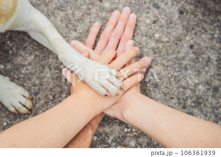 Human hands and dog paw as a team. Fight for animal rights, help animals 106361939