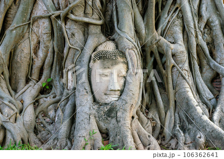Beautiful Buddhas of Ayutthaya ruins, at Wat Ratchaburana and Wat Mahathat. 106362641