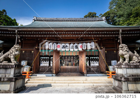 京都の夏、京都霊山護国神社、真夏の青空の下に本殿と狛犬 106362715