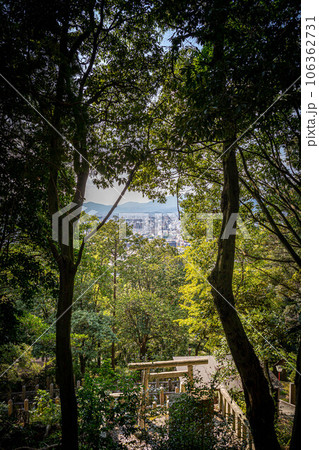 京都の夏、京都霊山護国神社、維新三傑・木戸孝允(桂小五郎)の墓前から京都盆地を眺める 106362731