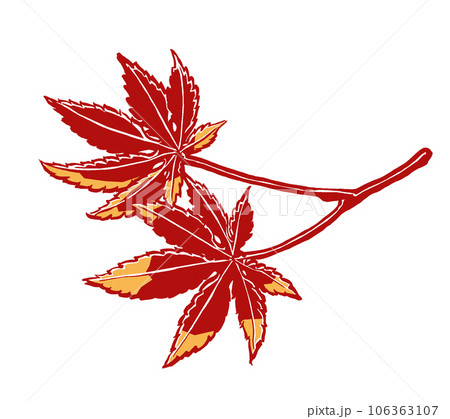 紅葉した2枚のイロハカエデの葉 筆描き・2色塗り 紅葉した2枚のイロハカエデの葉 筆描き・2色塗り 106363107