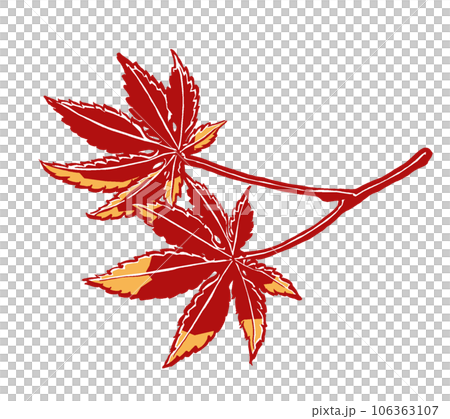 紅葉した2枚のイロハカエデの葉 筆描き・2色塗り 紅葉した2枚のイロハカエデの葉 筆描き・2色塗り 106363107