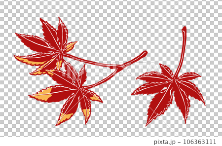 3 Acer palmatum leaves in autumn colors brushed and painted in 2 colors 106363111