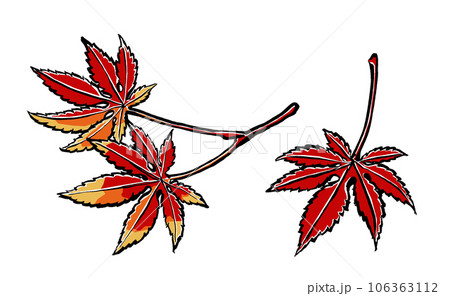 紅葉した3枚のイロハカエデの葉　筆描き・マット塗り 106363112