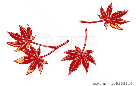 紅葉した4枚のイロハカエデの葉 筆描き・2色塗り 紅葉した4枚のイロハカエデの葉 筆描き・2色塗り 106363114