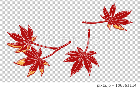 紅葉した4枚のイロハカエデの葉 筆描き・2色塗り 紅葉した4枚のイロハカエデの葉 筆描き・2色塗り 106363114