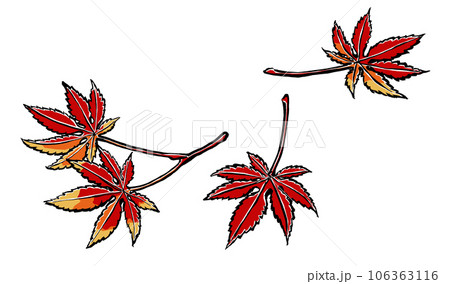 紅葉した4枚のイロハカエデの葉 筆描き・マット塗り 紅葉した4枚のイロハカエデの葉 筆描き・マット塗り 106363116