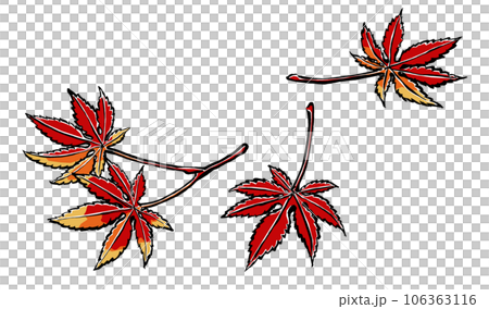 紅葉した4枚のイロハカエデの葉 筆描き・マット塗り 紅葉した4枚のイロハカエデの葉 筆描き・マット塗り 106363116