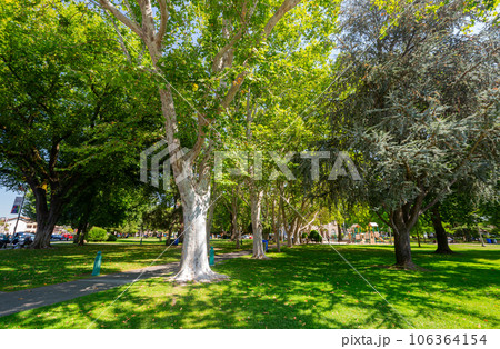 Sunny view of the garden of Sonoma Plaza History Sunny view of the garden of Sonoma Plaza History 106364154