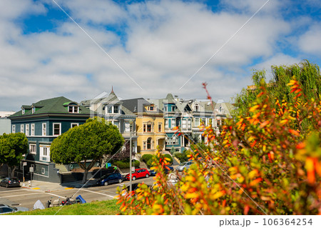Sunny view of The Painted Ladies Sunny view of The Painted Ladies 106364254