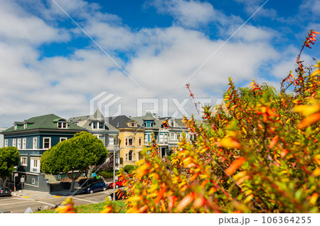 Sunny view of The Painted Ladies 106364255