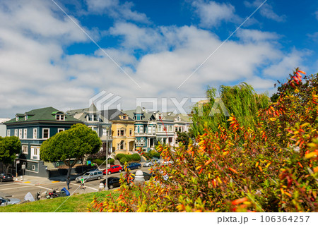 Sunny view of The Painted Ladies Sunny view of The Painted Ladies 106364257