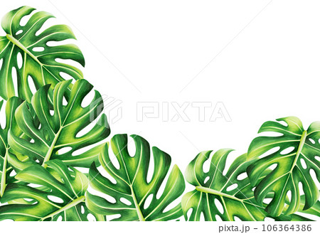 Watercolor frame with realistic tropical illustration of monstera isolated on white background. Beautiful botanical hand painted logo with floral elements. For designers, spa decoration, postcards, Watercolor frame with realistic tropical illustration of monstera isolated on white background. Beautiful botanical hand painted logo with floral elements. For designers, spa decoration, postcards, 106364386