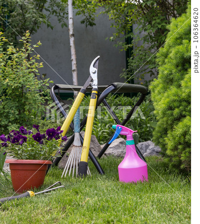 Garden Garden 106364620