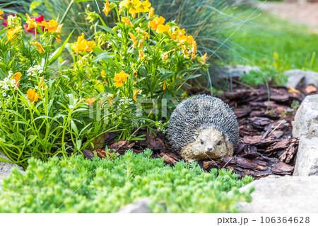 Decorative hedgehog garden decor. Ceramic statue on a flowerbed 106364628