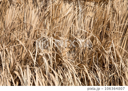 Straw pattern background 106364807