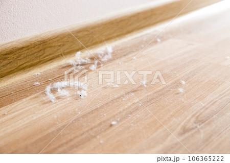 dust dust 106365222