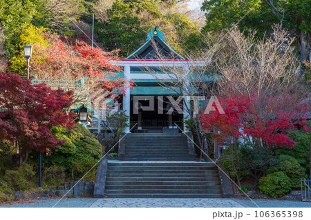 晩秋の古都鎌倉　紅葉の鎌倉宮（大塔宮）　二の鳥居と拝殿 106365398