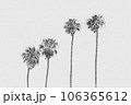 Pencil sketch of four palm trees on white background 106365612