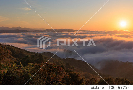 大撫山から見た雲海「兵庫県・佐用町」 106365752
