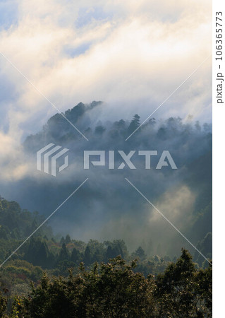 大撫山から見た雲海「兵庫県・佐用町」 大撫山から見た雲海「兵庫県・佐用町」 106365773