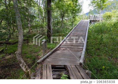 尾瀬ヶ原　龍宮沼尻川橋 106365838