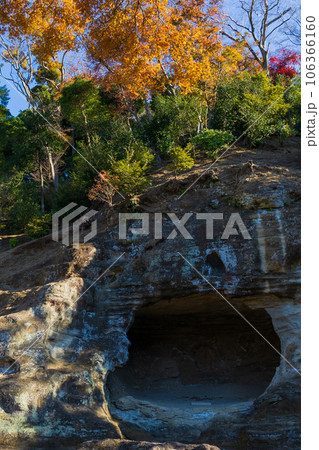 晩秋の古都鎌倉　紅葉の瑞泉寺　瑞泉寺庭園 106366160