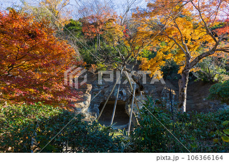 晩秋の古都鎌倉 紅葉の瑞泉寺 晩秋の古都鎌倉 紅葉の瑞泉寺 106366164