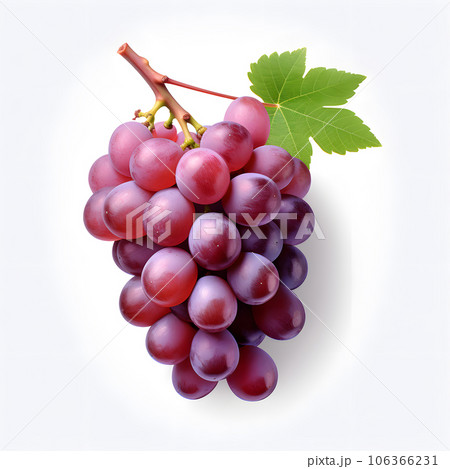 白い背景のブドウ 106366231